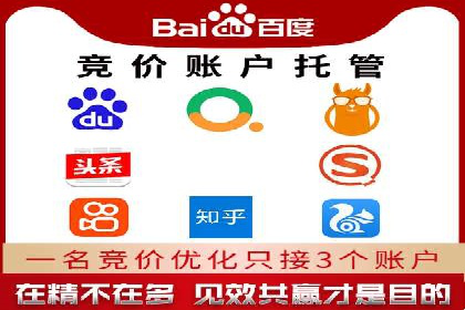 百度竞价广告投放策略案例